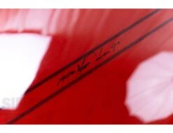 Levitator Type 2 - Tint + Volan + Polish - 9'2 X 23 1/4" X 2 7/8" - Single - Us Box -Horizon Surf levitator type 2 tint polish 92 x 23 14 x 2 78 single us box bing surfboards 14