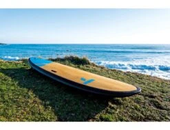 Meteor 6'4" -Horizon Surf meteor 64 bic sport tahe 11