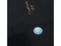 Rorry Russel - Pipeliner - 8'0 - Single - Us Box 29 Rorry Russel - Pipeliner - 8'0 - Single - Us Box -Horizon Surf rorry russel pipeliner 80 single us box lightning bolt 7